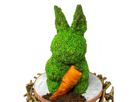 Topiary Bunny close