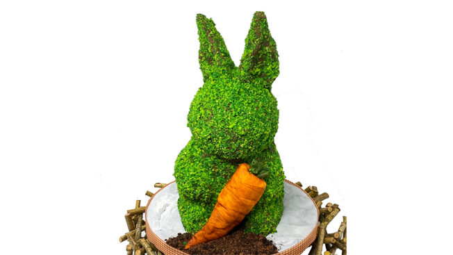 Topiary Bunny close