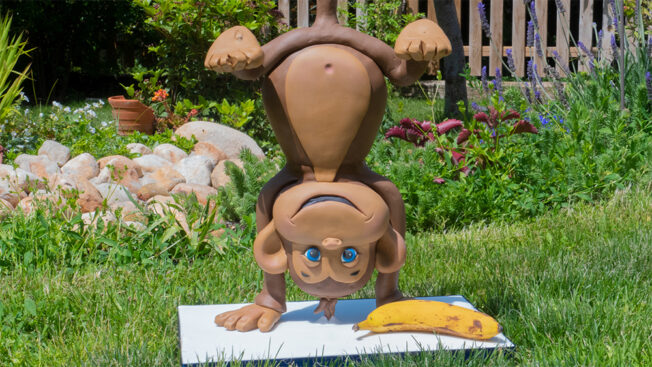 cheeky monkey outside