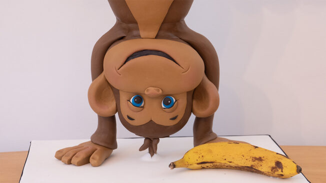 cheeky monkey face