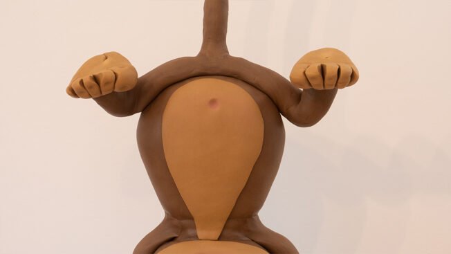 cheeky monkey body