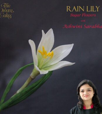 Rain lily archive image