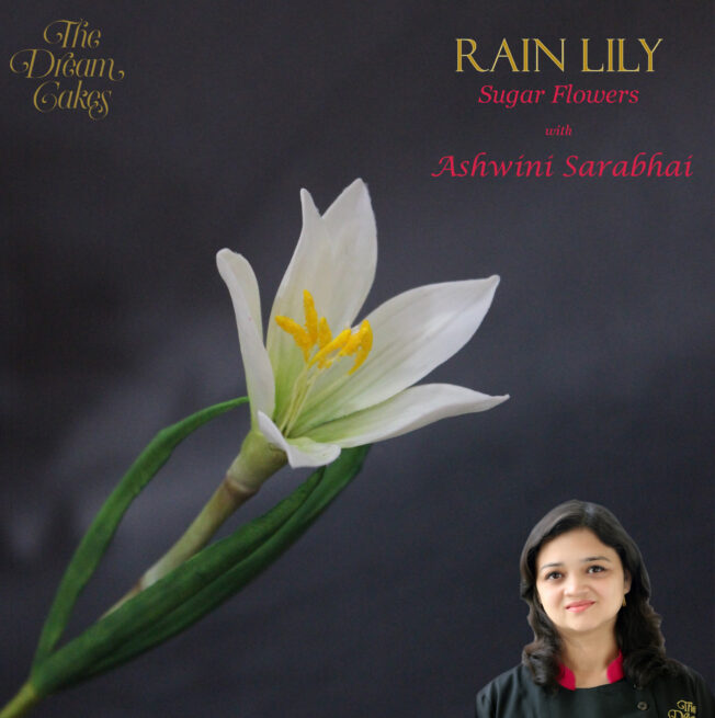 Rain lily archive image