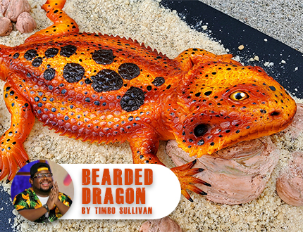 Bearded Dragon