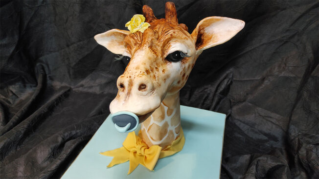 Baby Giraffe Full