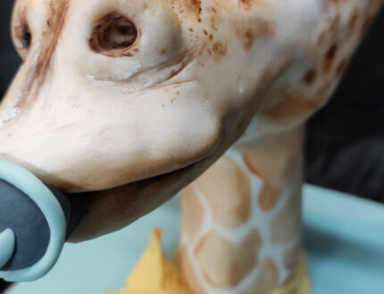 Baby Giraffe dummy