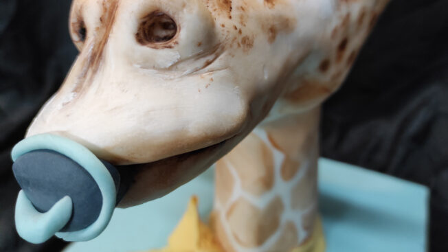 Baby Giraffe dummy