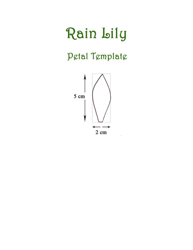 Rain lily petals template