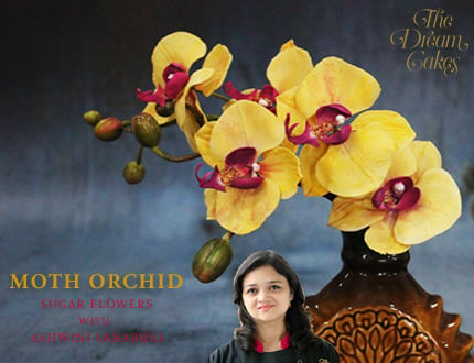 Moth Orchid Sugar Flower