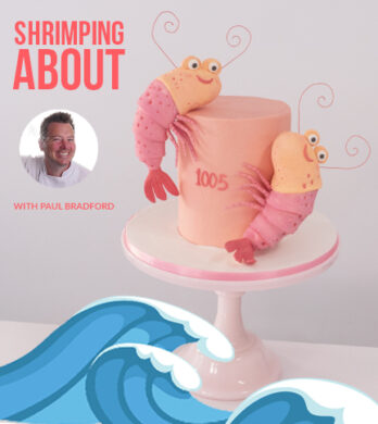 Shrimping about archive