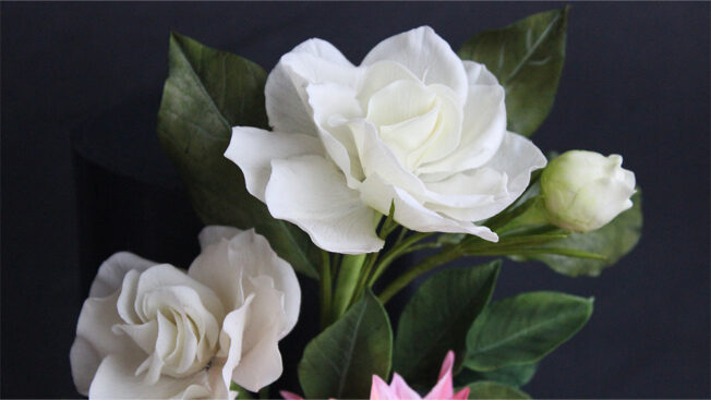Dahlia Flower White