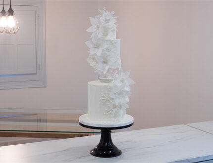 Frozen Winter Wedding Cake Full Shot