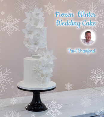 Frozen Winter Wedding Cake Archive New
