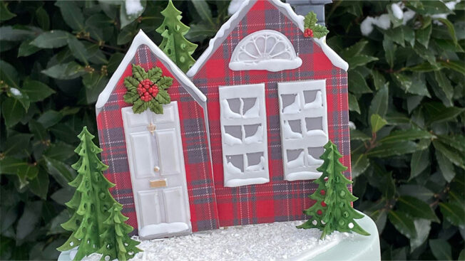 Tartan Christmas Close Up