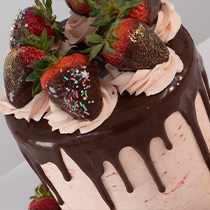 Chocolate Strawberry Drip Cake Plain