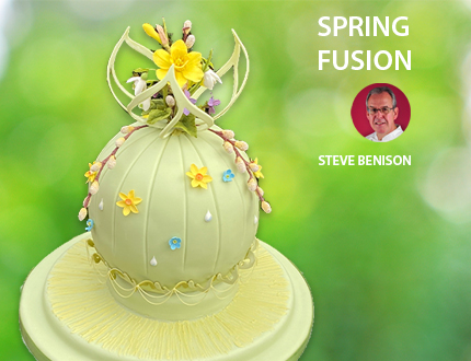 Spring Fusion