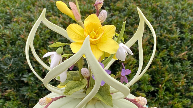 Spring Fusion Flower