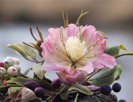 Hellebore Delight Gallery 2