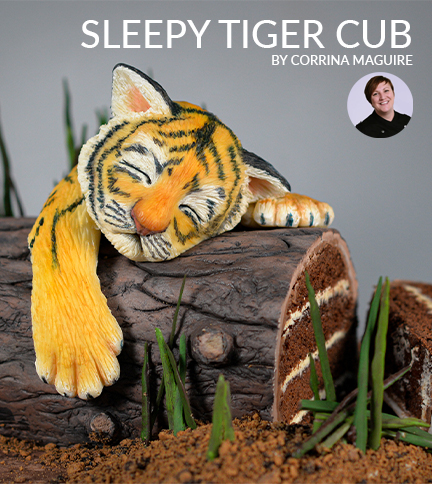 Sleepy tiger cub archive