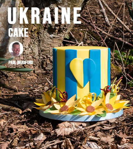 Ukraine cake archive