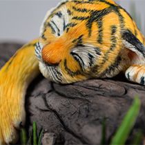 Sleepy tiger cub plain