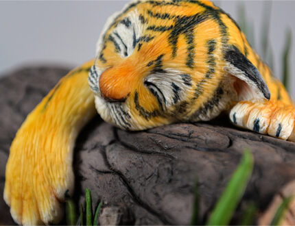 Sleepy tiger cub face