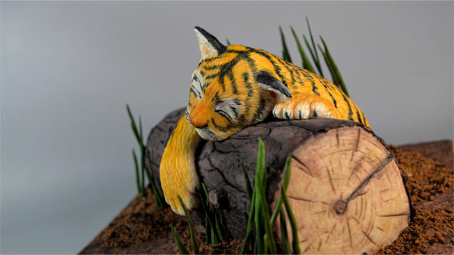 Sleepy tiger cub side
