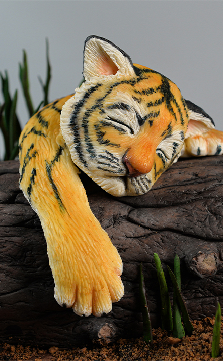 Sleepy tiger cub highlights