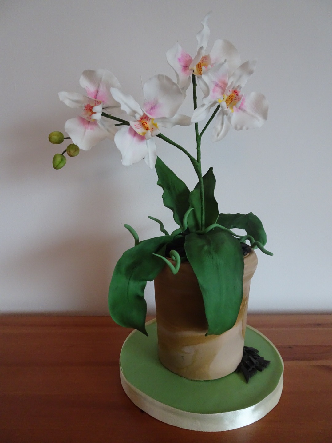 Sue Power - Moth Orchid flowers & leaves - January 2022