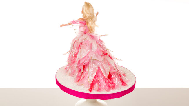 Barbie dolly back