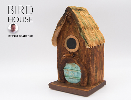 Bird House Feature
