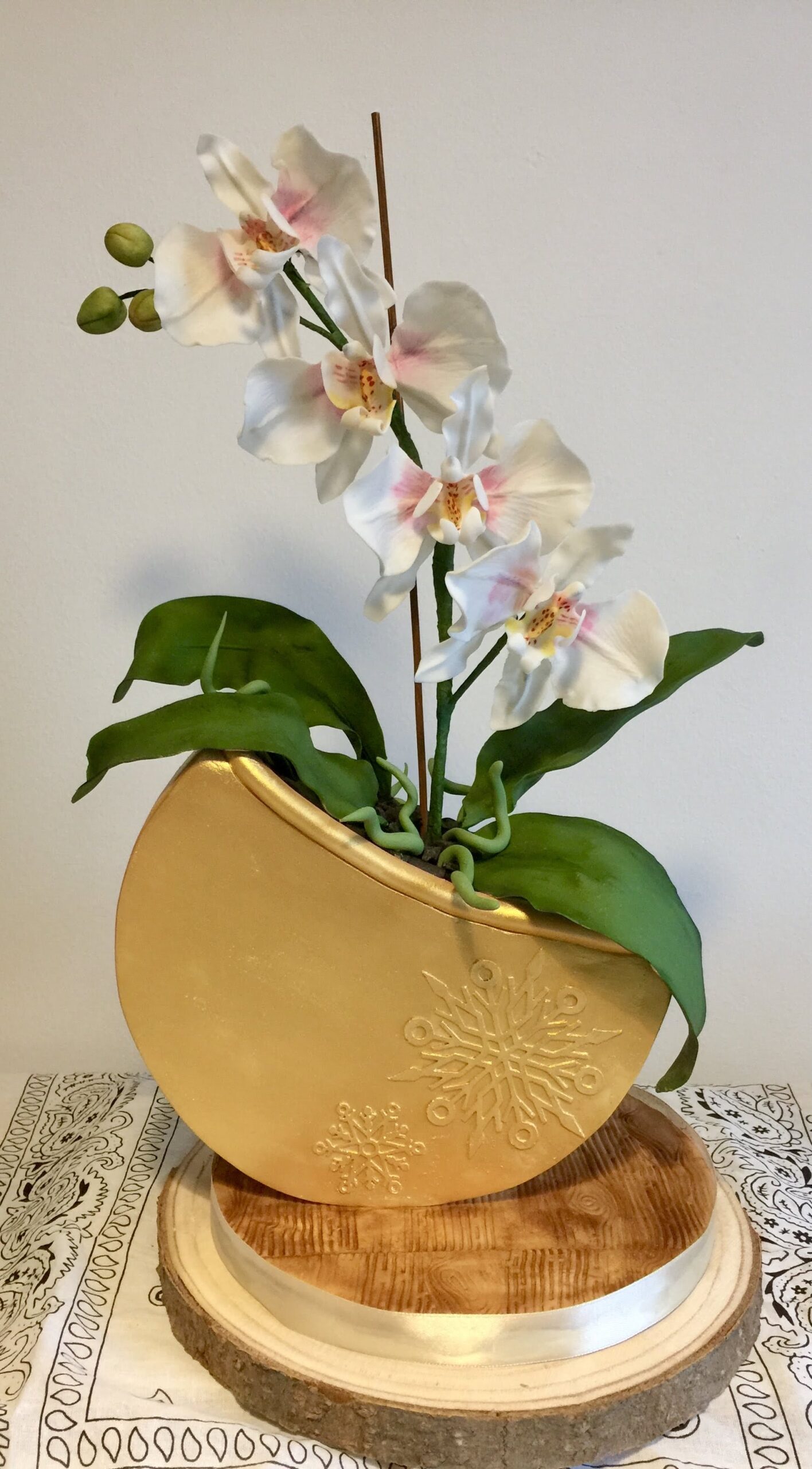 Sue Power - Moth Orchid flowers & leaves - February 2022