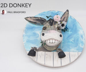 2D donkey feature
