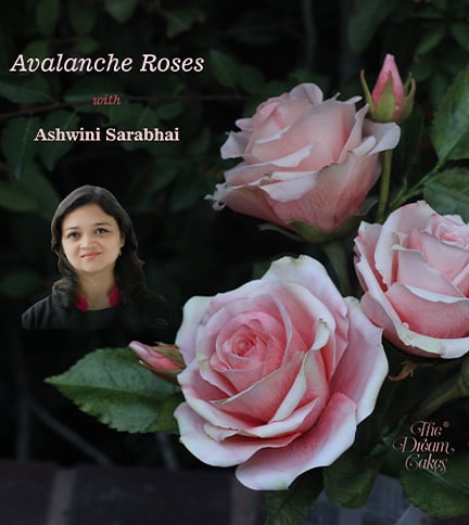 Avalanche Roses – Bite Sized