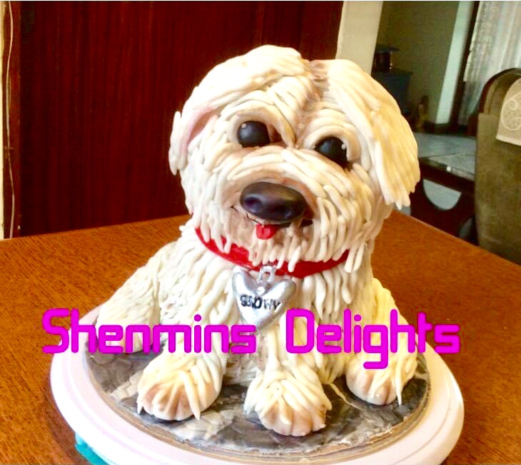 Shenaz Bilia - Westie Terrier Dog - October 2022