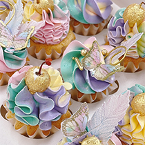 Lux cupcakes plain