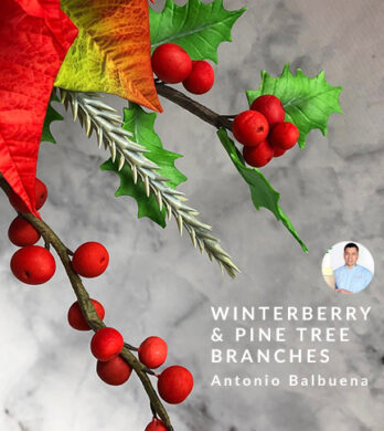 Winterberry branches archive 2
