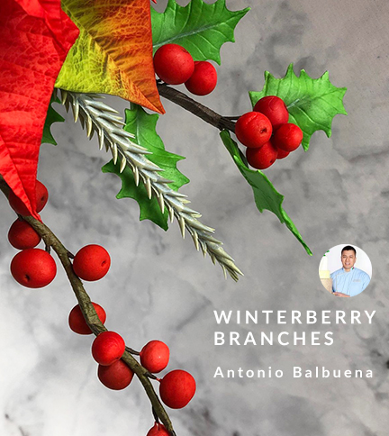 Winterberry branches archive