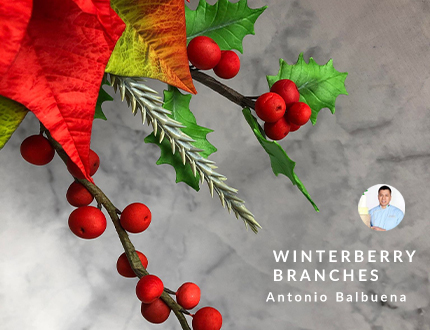 Winterberry branches feature