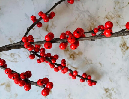 Winterberry branches gallery 2