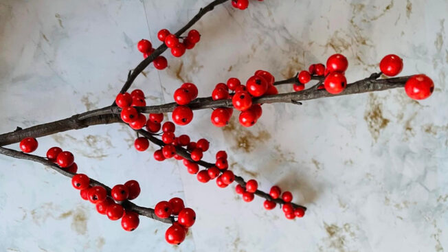 Winterberry branches gallery 2