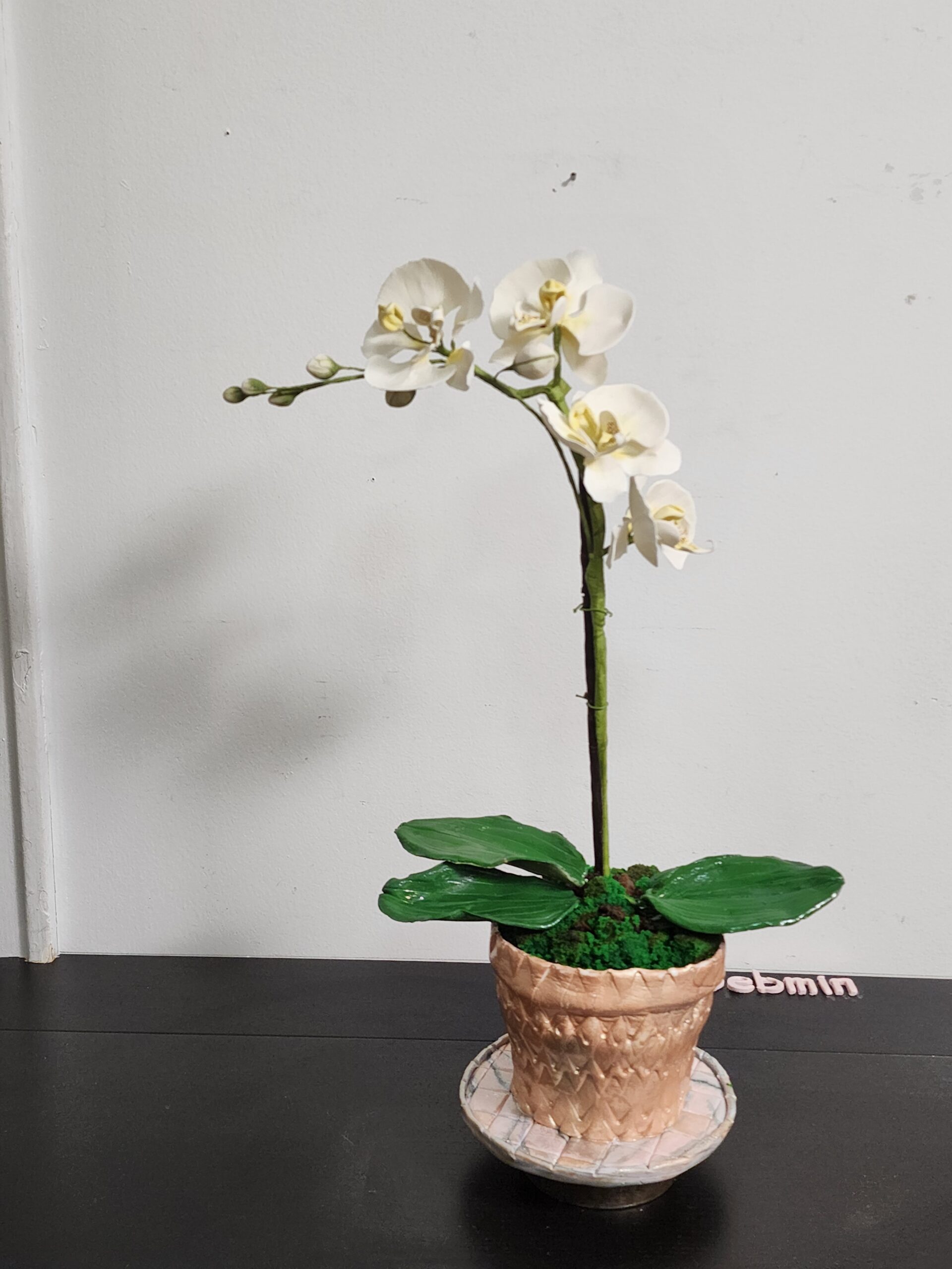 Debmin Torres - Moth Orchid Sugar Flower - December 2022