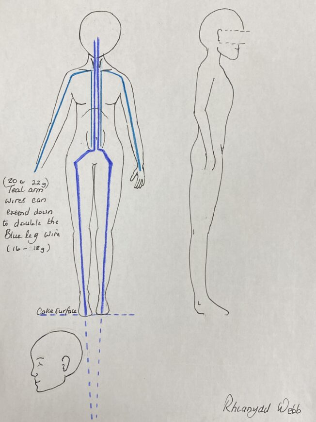 Bluebell template