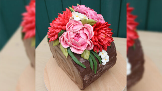 Lovely Log Above