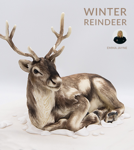 Reindeer archive
