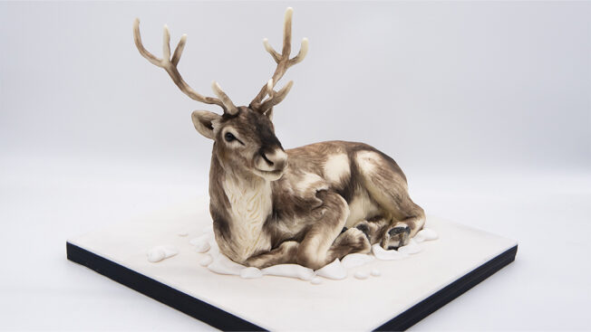 Reindeer main