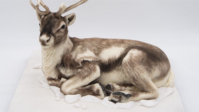 Reindeer 2