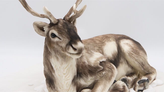 Reindeer 3