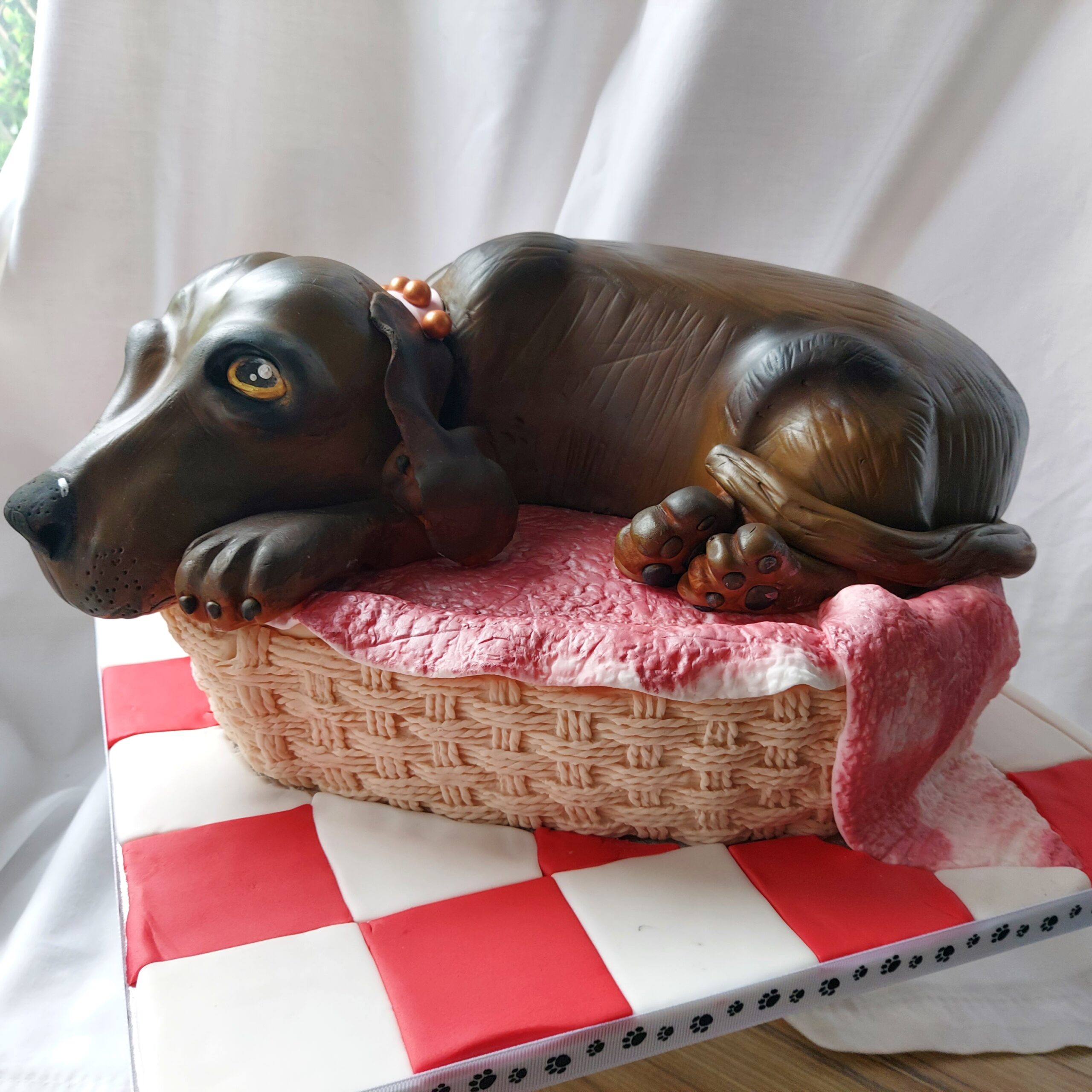 Carol shields - Jasper the Cookie Bear - May 2023