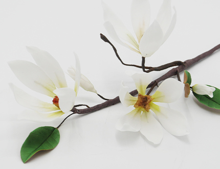 Magnolia branch feature